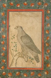 Falcon Perched on a Leafy Stump, c.1650